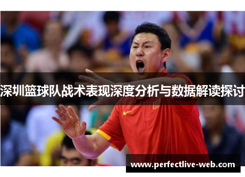 深圳篮球队战术表现深度分析与数据解读探讨